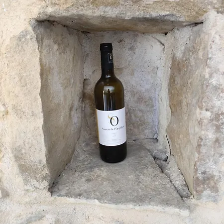 Domaine Sources De L'opidum *